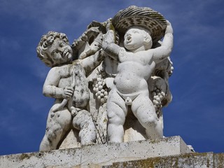 Ni&ntilde;os vendimiando