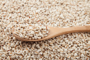 Jobs tears with wooden spoon