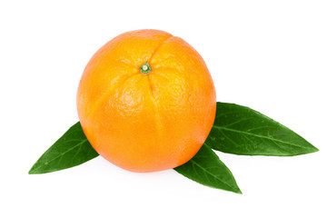 Orange Fruit