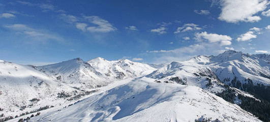 Fototapeta na wymiar winter panoramic landscape