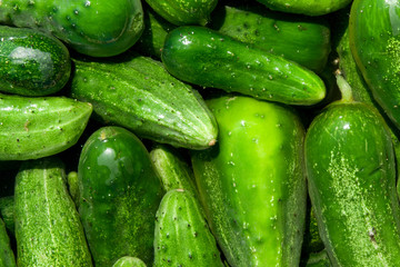 cucumbers