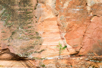 sandstone cliffs in the Gaujas National Park, Latvia