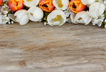 Tulpen mit Kirschblüten