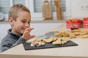 Junge stibitzt Weihnachtskekse