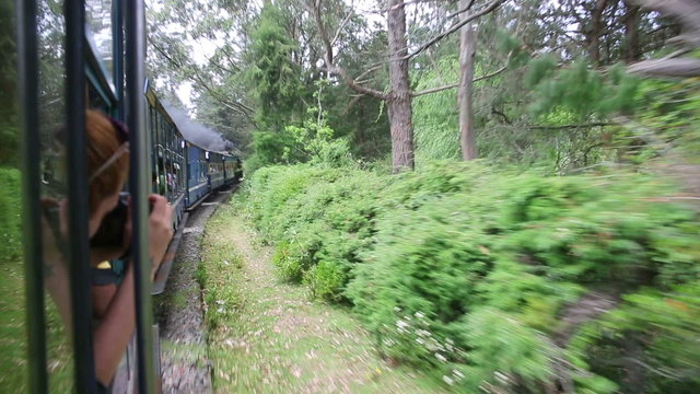 historical steam-powered train, ooty