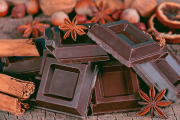Pieces of dark chocolate