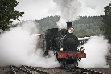 Obraz na płótnie Canvas Narrow gauge steamtrain departures