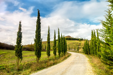 Fototapeta na wymiar Typical landscape of Tuscany