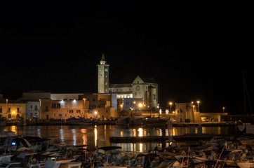 Fototapeta na wymiar Trani cathedral in night sky from the marina