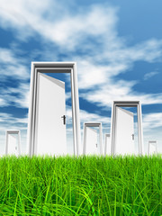White door in grass with sky background