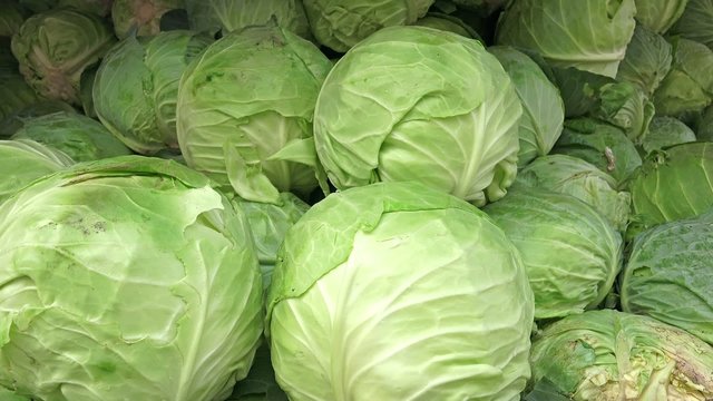 Fresh cabbage in grocery