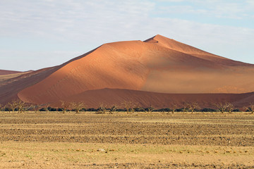 Fototapeta na wymiar Sossuavlei park, Namibia