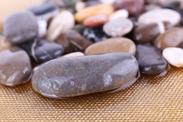 Sea stones on golden surface