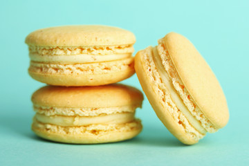 Gentle colorful macaroons on color background
