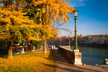 Autumn in Verona public garden