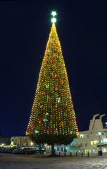 .A large Christmas tree