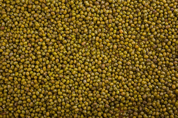 Mung beans as background , texture