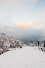 Obraz premium Hoge venen in snow