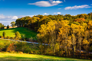 Autumn color in rural York County, Pennsylvania.