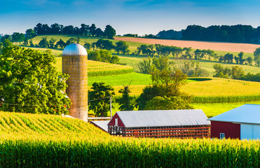 Barn and silo on a farm in rural York County, Pennsylvania.