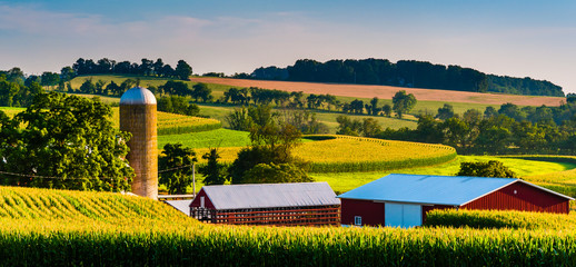 Barn and silo on a farm in rural York County, Pennsylvania.