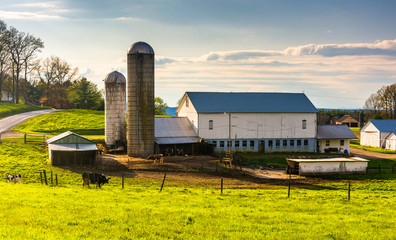 Barn and silo on a farm in rural York County, Pennsylvania. © jonbilous