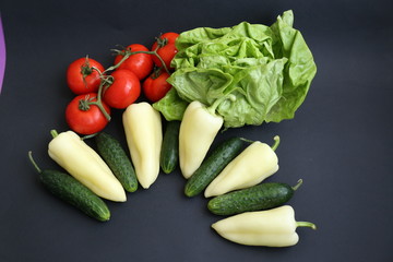 Tomato - Pepper - Cucumber - Lettuce