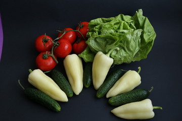 Tomato - Pepper - Cucumber - Lettuce