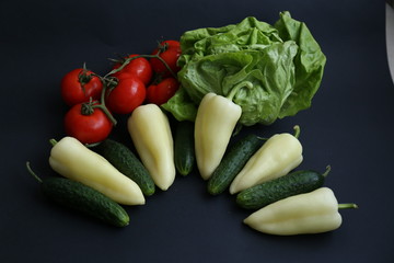 Tomato - Pepper - Cucumber - Lettuce