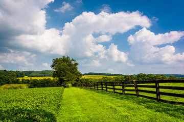 Fototapeta na wymiar Clouds over fence and farm fields in rural York County, Pennsylv