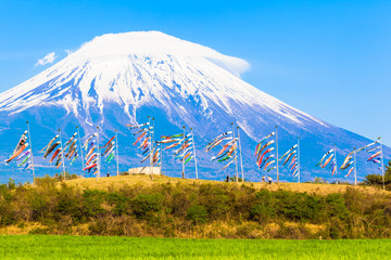 Fototapeta premium Colorful carp banners and Mount Fuji