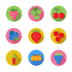 set of fruit icons in flat design with long shadows