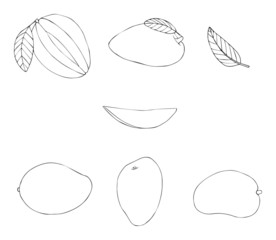 Delightful garden - mango