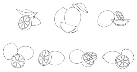 Delightful garden - lemons