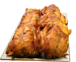 grilled chicken