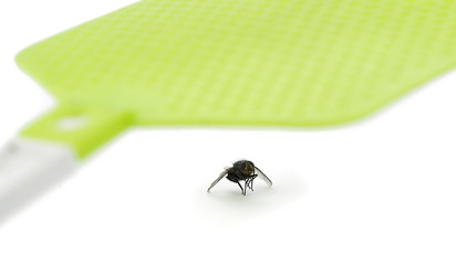 Fly swatter isolated on white background.