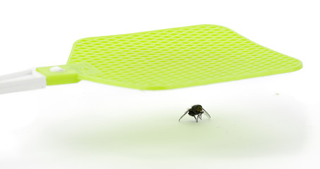 Hitting fly with flyswatter isolated on white background