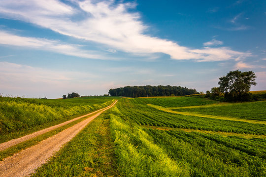 Dirt road and farm fields in rural York County, Pennsylvania. © jonbilous