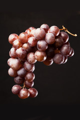 Fototapeta premium grape bunch on black