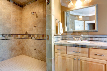Luxury bathroom interior with shower