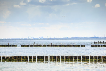 Obraz premium Gdansk Harbor skyline and sea birds