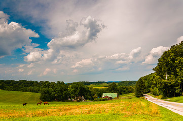 Farm field and country road in rural York County, Pennsylvania.