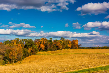 Fototapeta na wymiar Farm fields and autumn color in rural York County, Pennsylvania.