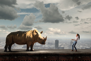 Zootier © Sergey Nivens