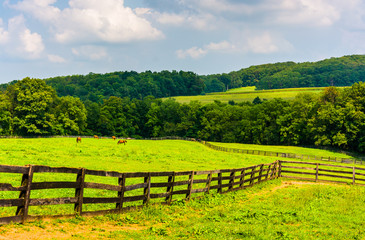 Fototapeta na wymiar Farm fields and rolling hills in rural York County, Pennsylvania