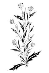 Thistle tattoo design