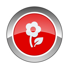 Chrome Icon