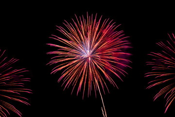 Fototapeta premium Beautiful fireworks