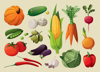 A set of delicious vegetables. © moonkin