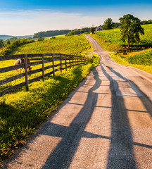 Fence and horses along a country backroad in rural York County,